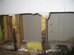 Mold Behind Wall