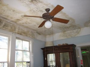 Mold on Ceiling